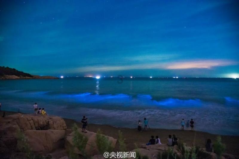 什么是“接吻病”？哪些行为存在患病的风险？