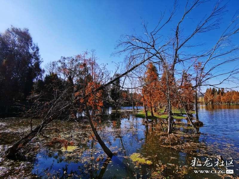 为啥说德国是“欧洲版东北”？看完这些的德国菜后，我信了！